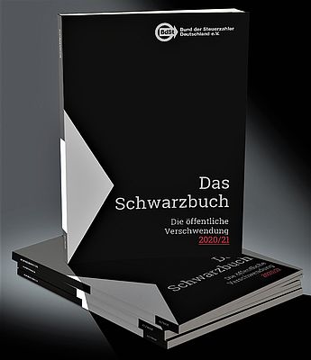 Das ist die  öffentliche Verschwendung 2020/21!
