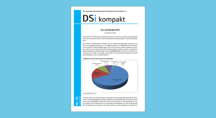 DSi kompakt Nr. 13 - Zum Sozialbudget 2013 DSi kompakt Nr. 13 - Zum Sozialbudget 2013