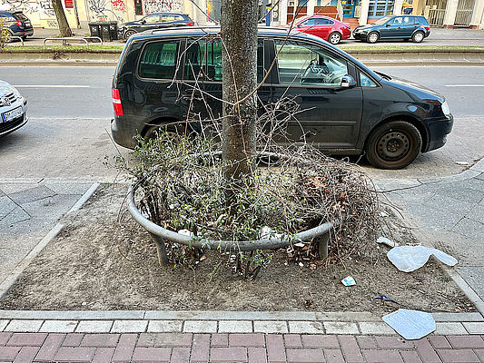 Senat plant keine Verpackungssteuer in Berlin