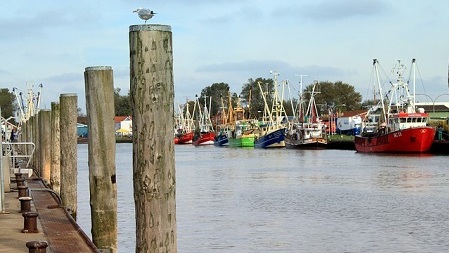 Keine Brücke über den Museumshafen in Büsum Keine Brücke über den Museumshafen in Büsum