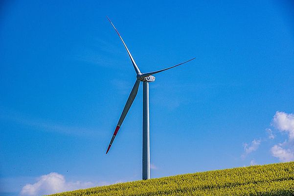 Bund der Steuerzahler unterstützt Forderung nach Untersuchungsausschuss