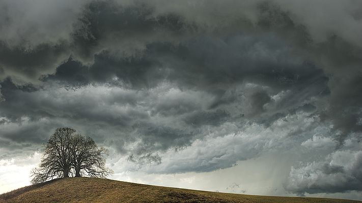 Klimaschutz im Steuerrecht Klimaschutz im Steuerrecht
