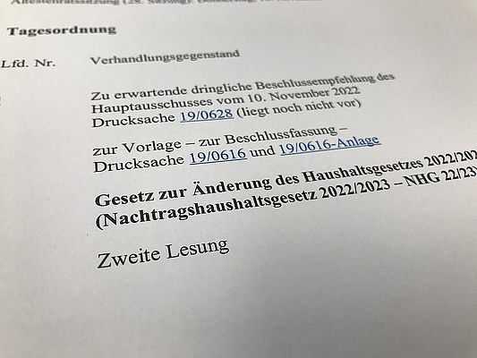 Bund der Steuerzahler bezeichnet Nachtragshaushalt als Wahlkampfhaushalt