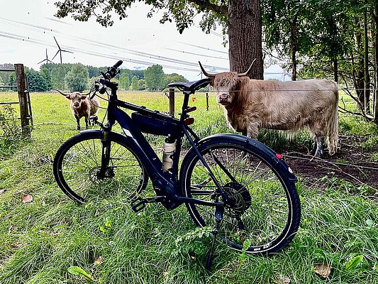 Fahrradfahren und Steuern sparen. Geht das?