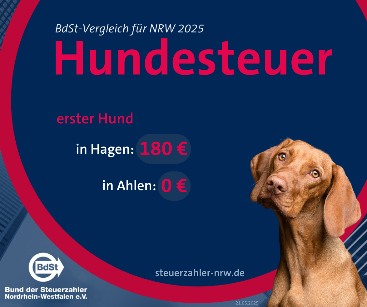 In Hagen ist der erste angemeldete Hund mit 180 Euro pro Jahr am teuersten, Ahlen verzichtet auf Hundesteuer. Infokachel Hund