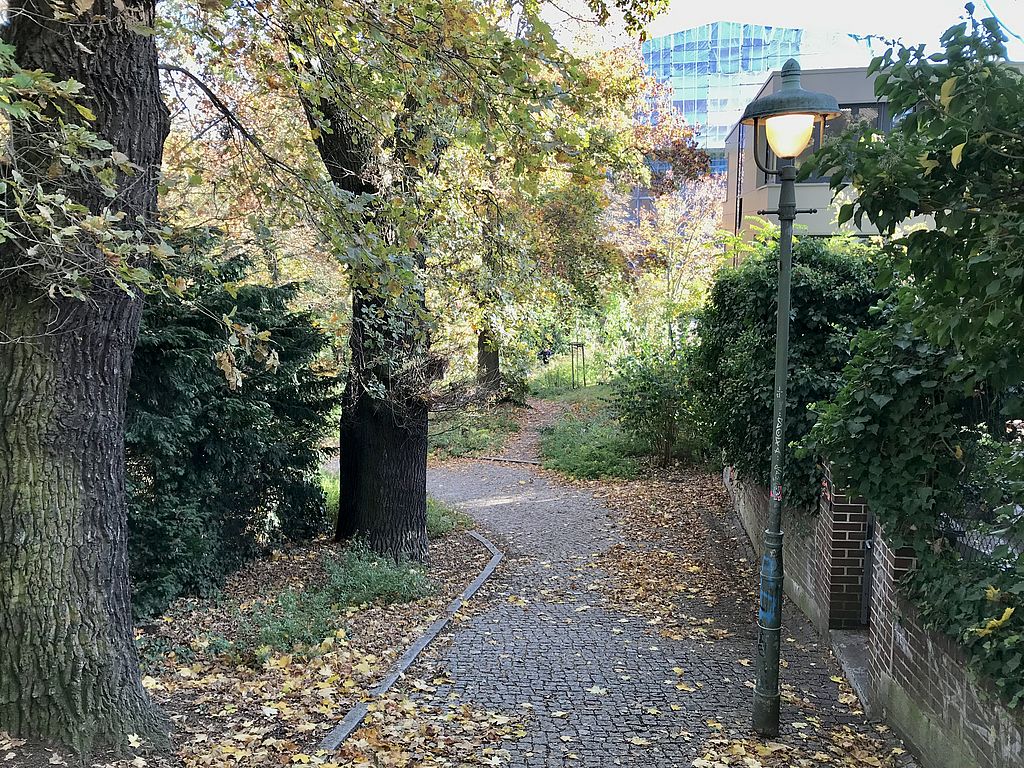 Entlang der Zeunepromenade brennen seit seit angeblich fünf Jahen neun Laternen im 24/7-Betrieb