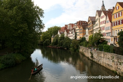 Bund der Steuerzahler und Kreishandwerkerschaft gegen Steuererhöhungen in Tübingen