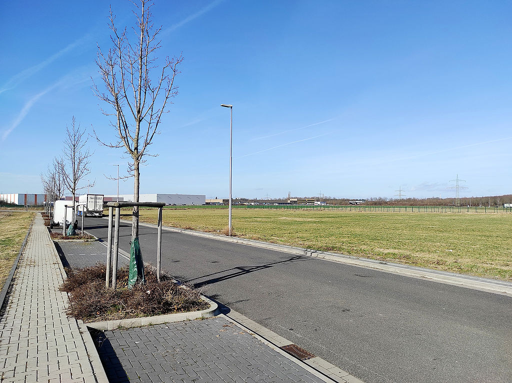 Luft nach oben im Unternehmerpark Kottenforst in Meckenheim Leere Straße mit junger Baumbepflanzung im Unternehmerpark Kottenforst in Meckenheim, umgeben von Freiflächen